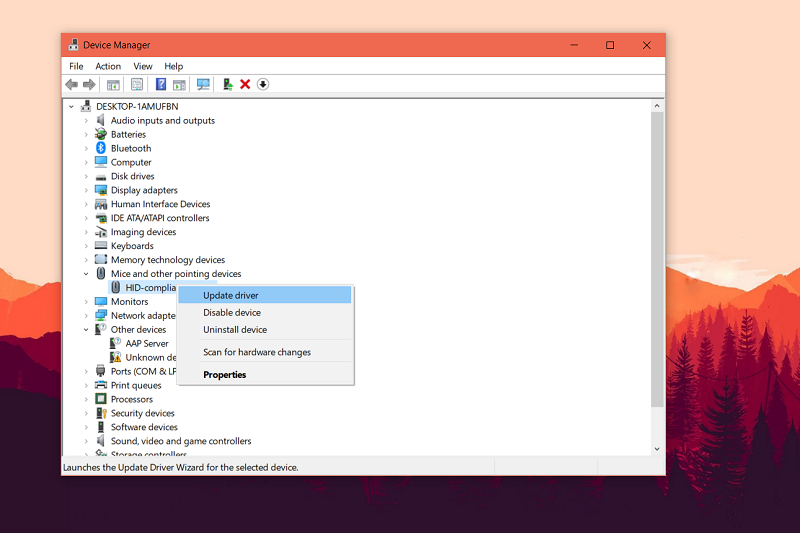 Cách cập nhật trình điều khiển (Driver) trên Windows 10, Windowx 11.